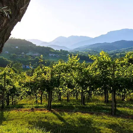 Le Spezie Apartmán Conegliano
