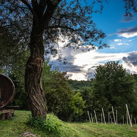Lägenhet Le Spezie Conegliano
