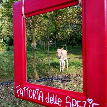 Lägenhet Le Spezie Conegliano