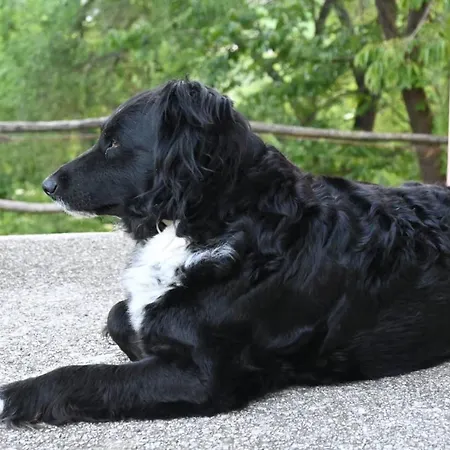Le Spezie Conegliano