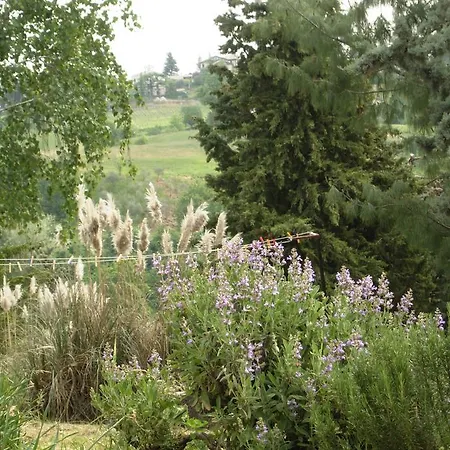 Le Spezie Conegliano